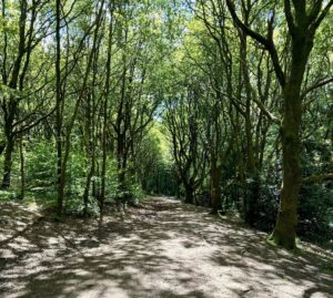 Bramhall u3a